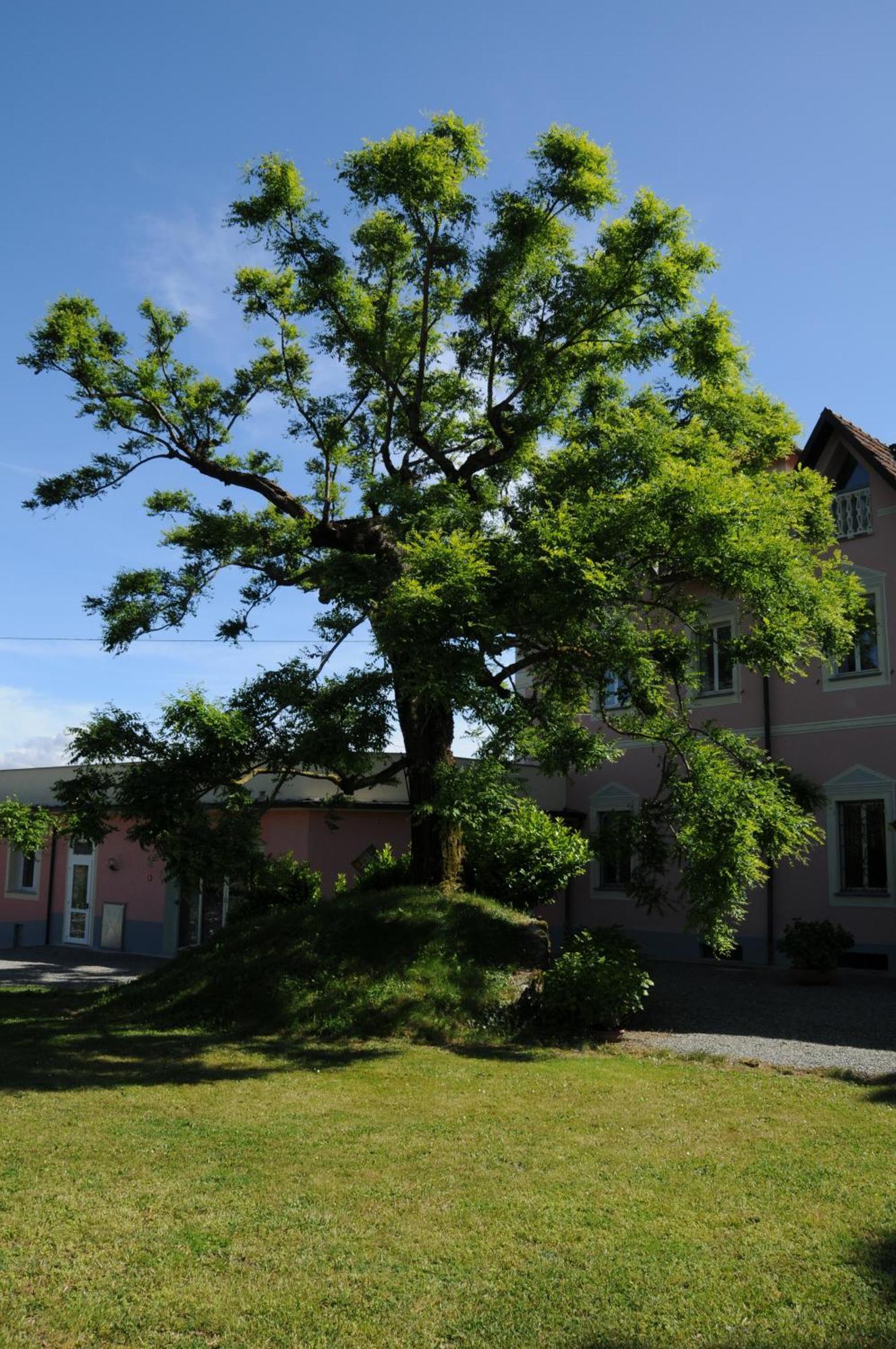 Villa Ester Tagliolo Monferrato Exterior foto